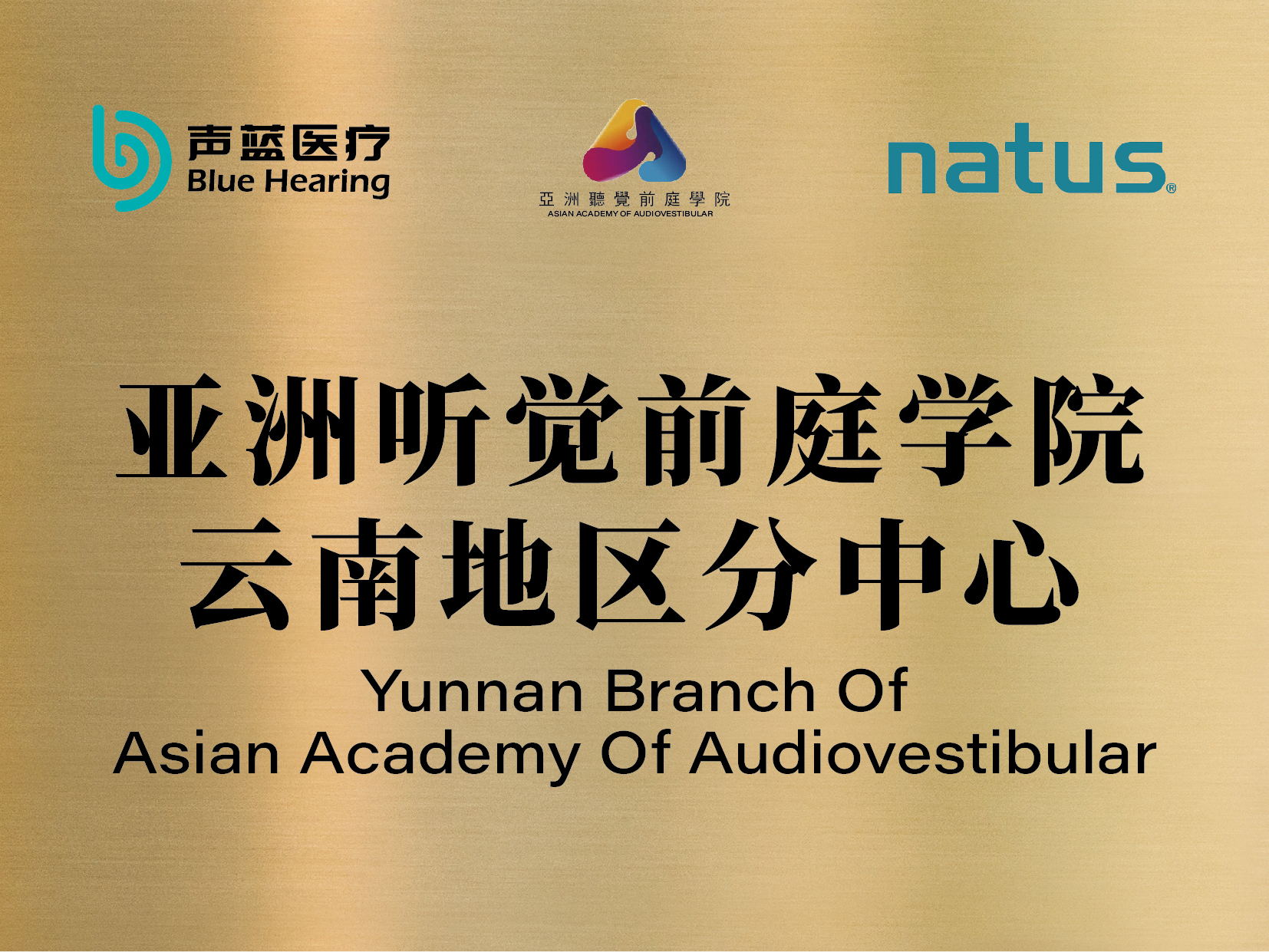 亚洲听觉前庭学院 云南地区分中心